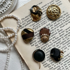 【大阪の方お待たせしました】LUCUA1100 マイニチキネン日にて 9月START！